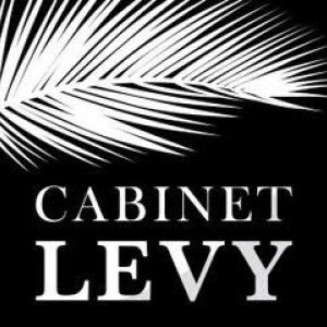 Cabinet Levy